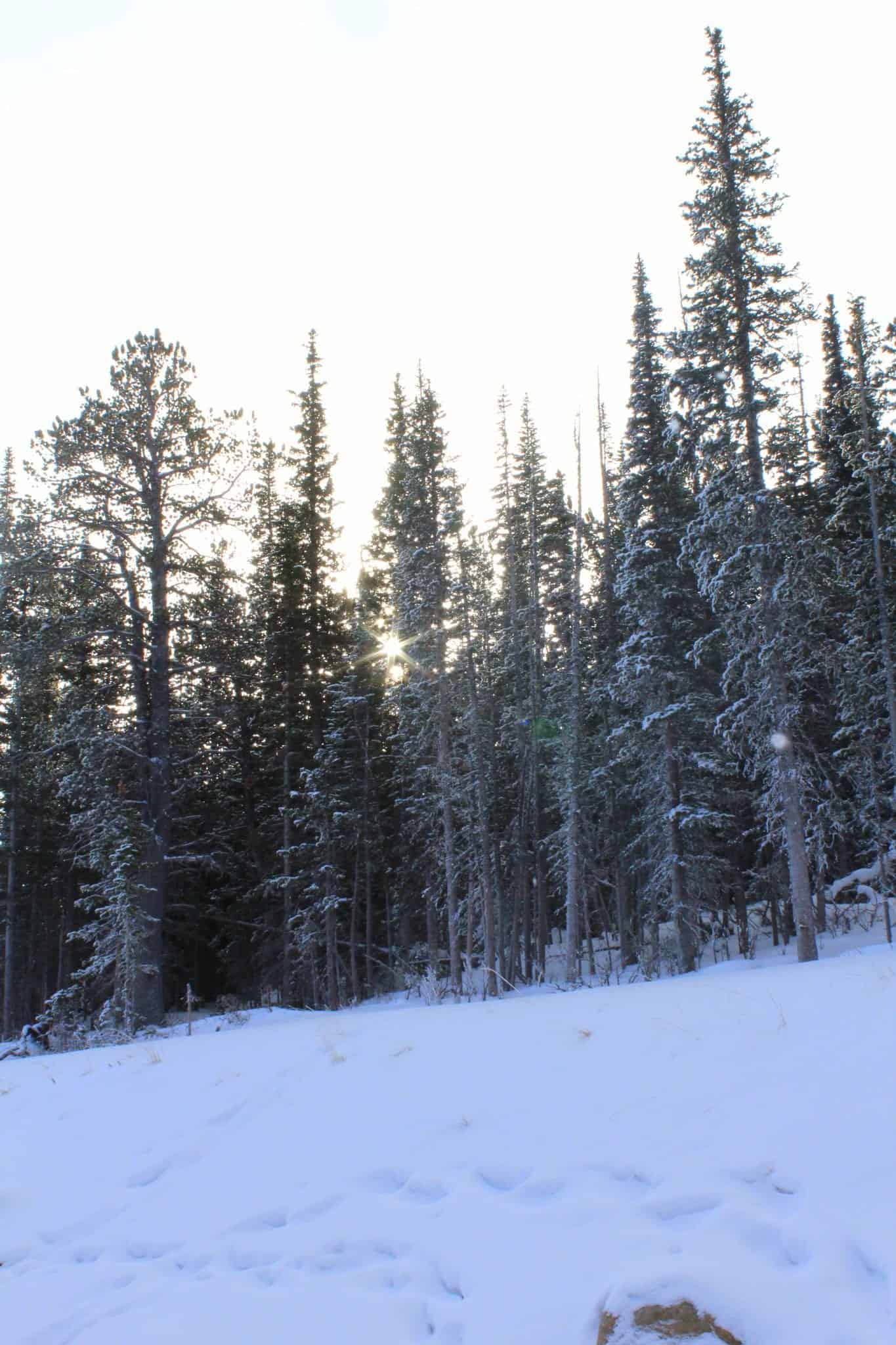 Snowshoeing at Brainard Lake from Treble in the Kitchen