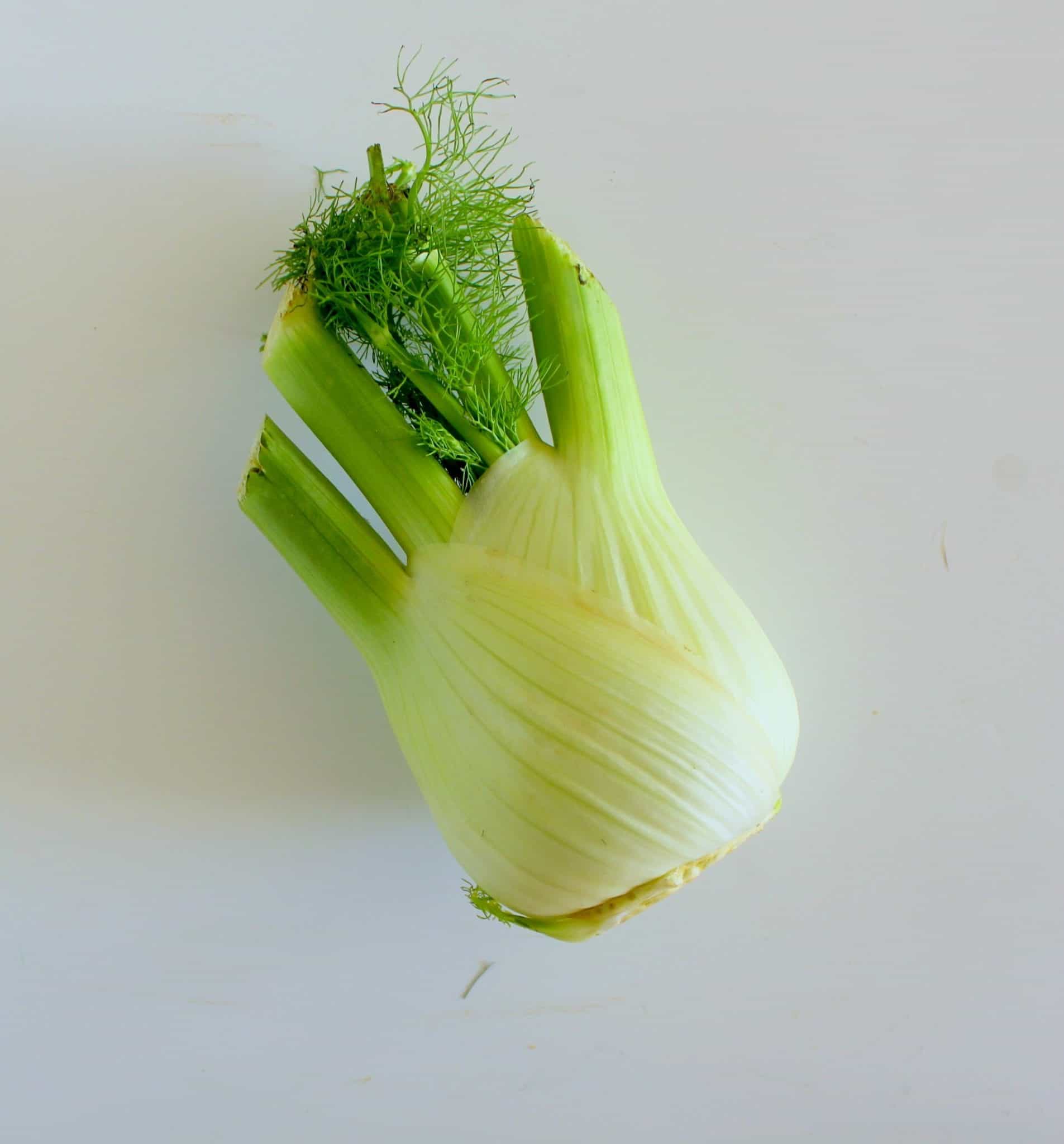 Roasted Fennel from Treble in the Kitchen