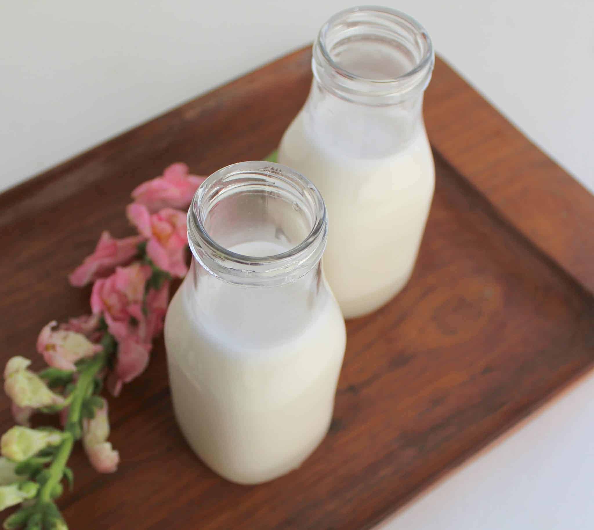 Macadamia Nut Milk from Treble in the Kitchen