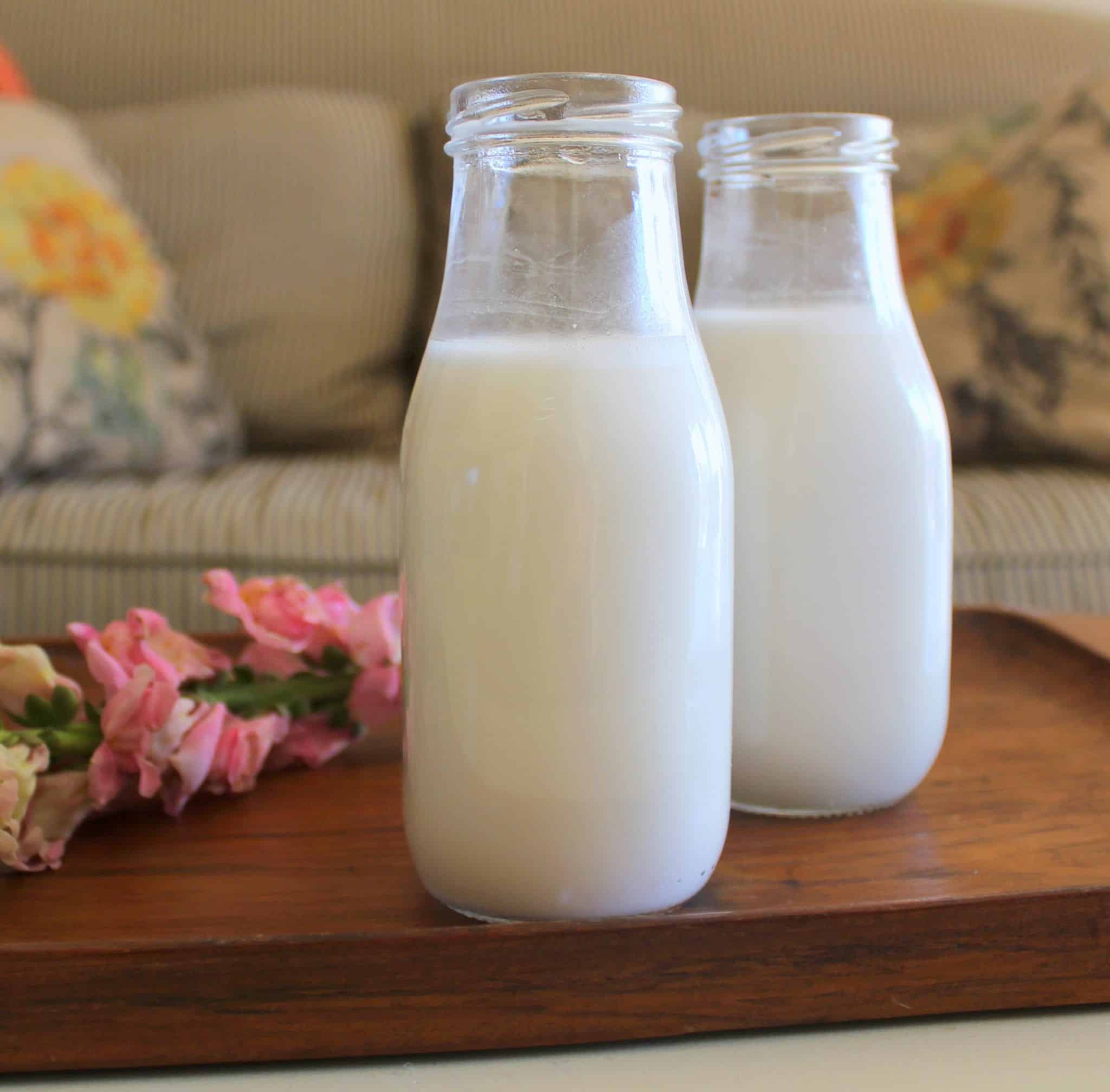 Macadamia Nut Milk from Treble in the Kitchen