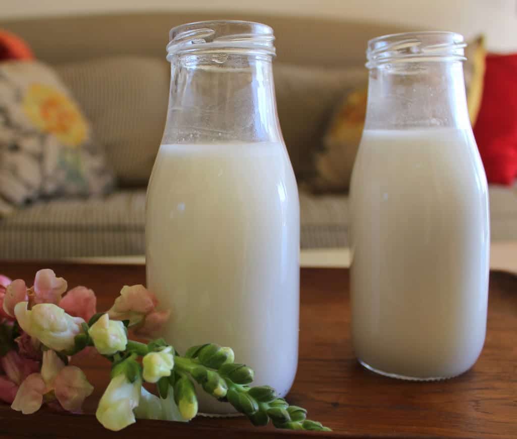 Macadamia Nut Milk from Treble in the Kitchen