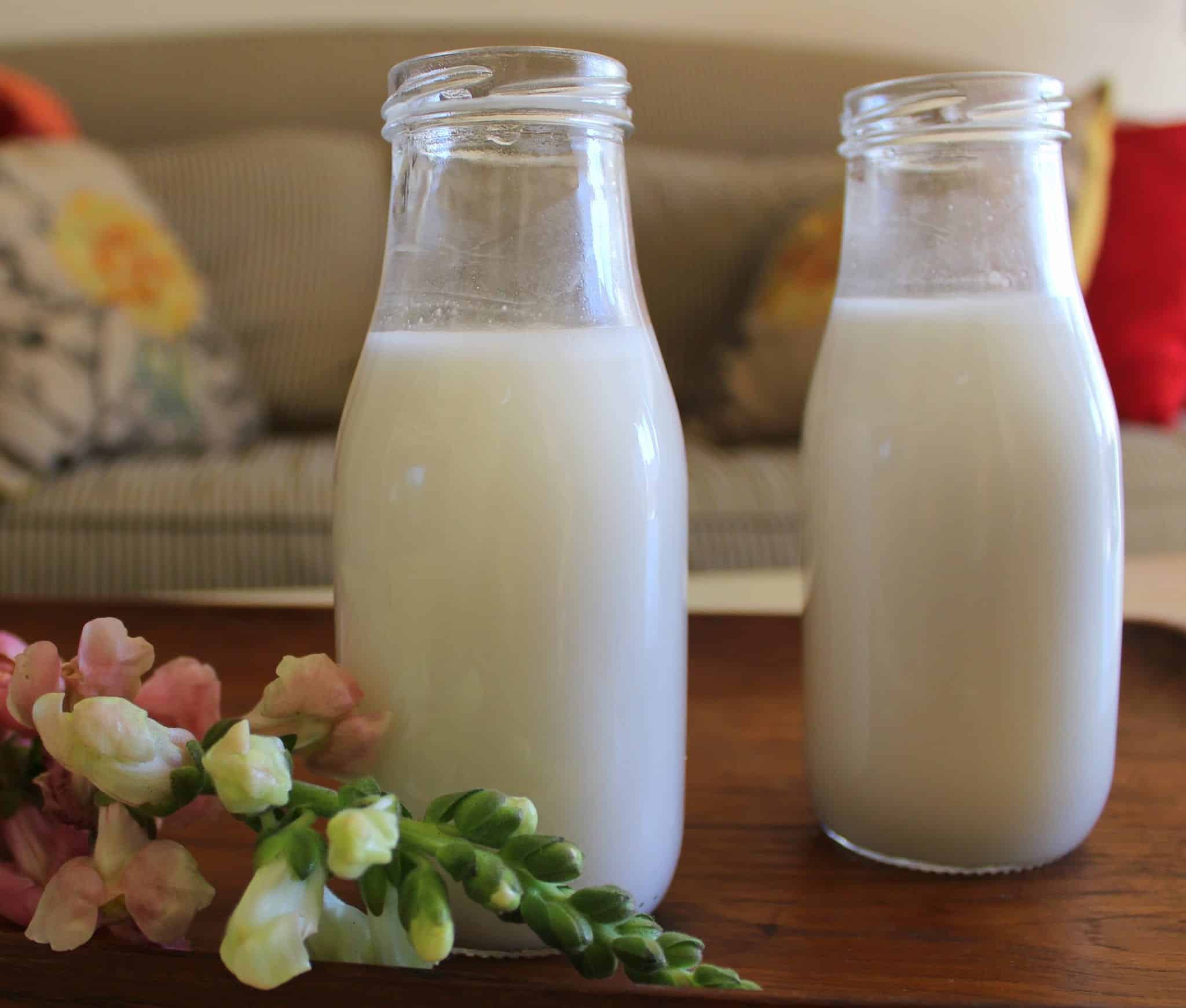 Macadamia Nut Milk from Treble in the Kitchen