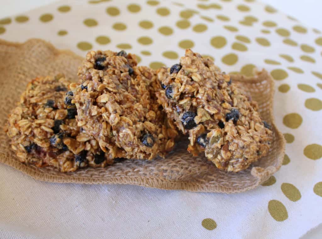 One Bowl Blueberry Lemon Breakfast Cookies from Treble in the Kitchen