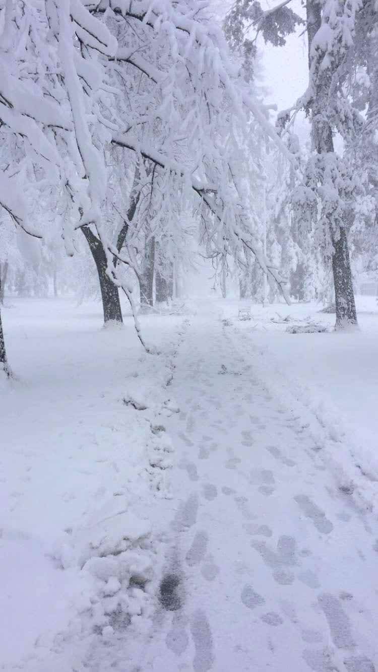 Blizzard in Denver