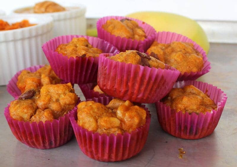 Pumpkin Banana Snack Bites from Treble in the Kitchen