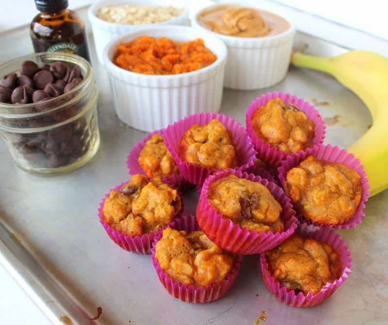 Pumpkin Banana Snack Bites from Treble in the Kitchen