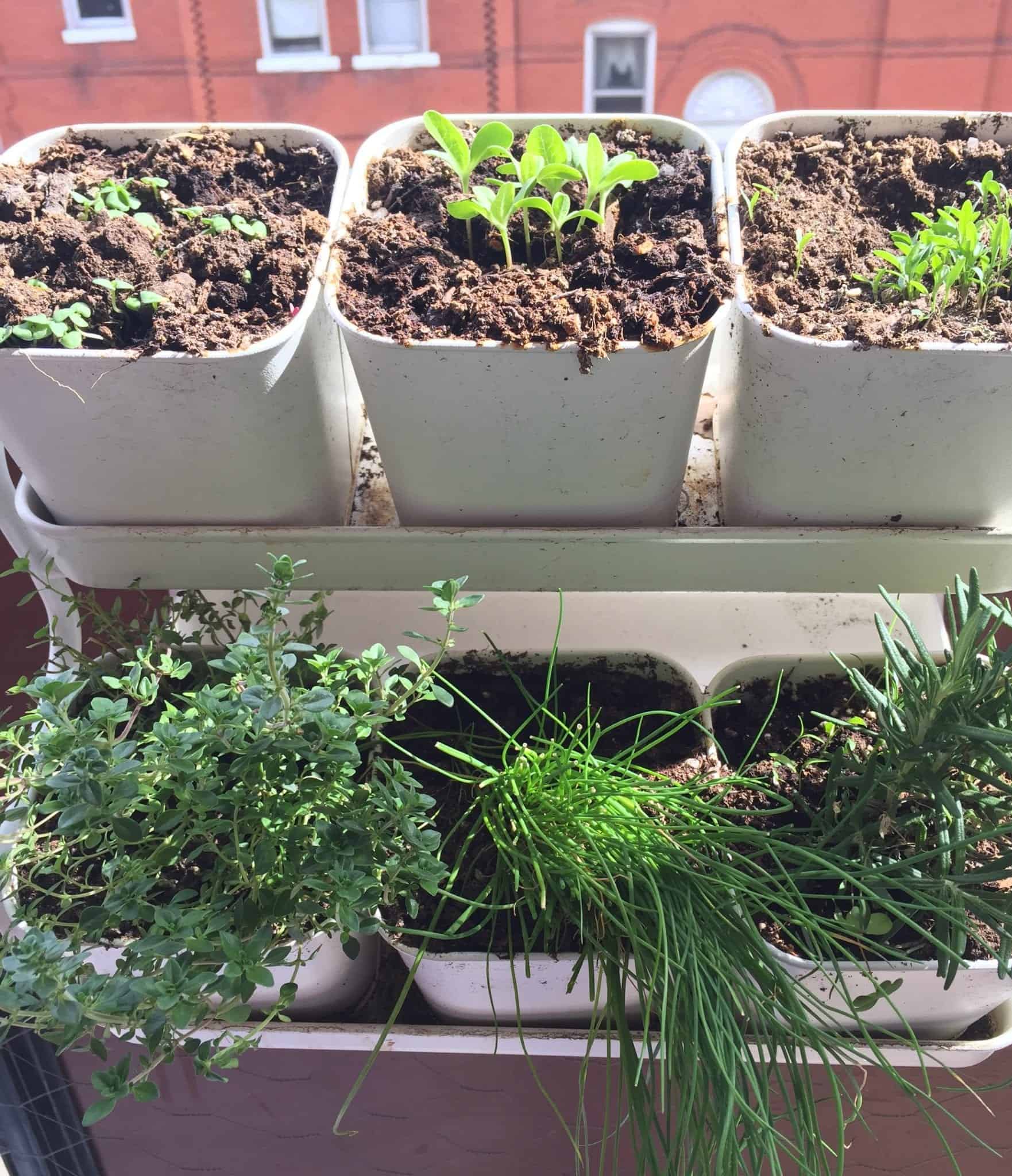 Balcony Garden 