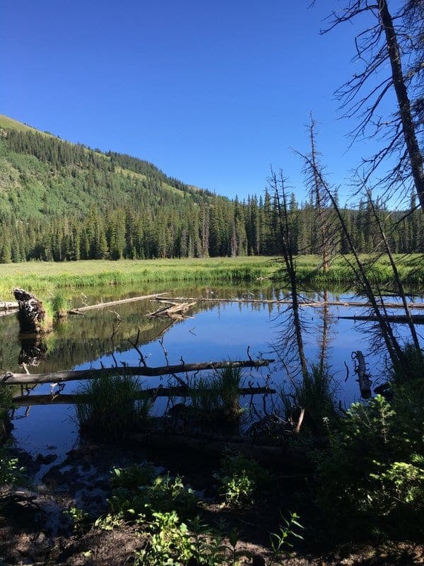 Spruce Creek Hike in Breckenridge