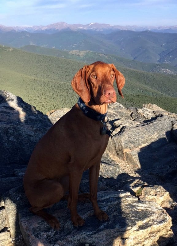 Chief Mountain Evergreen, CO