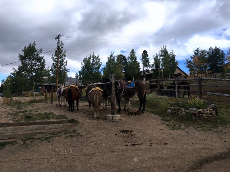 The Dao House Horseback Riding