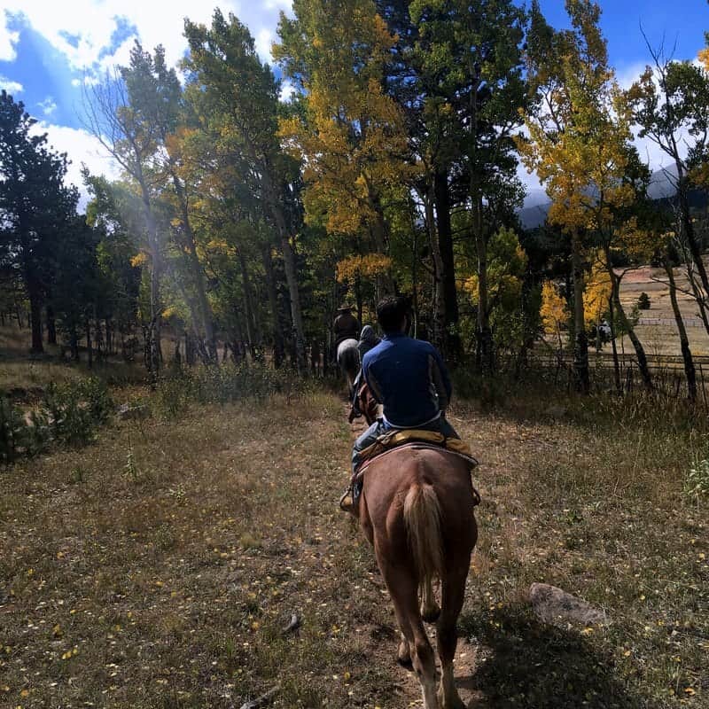 The Dao House Horseback Riding