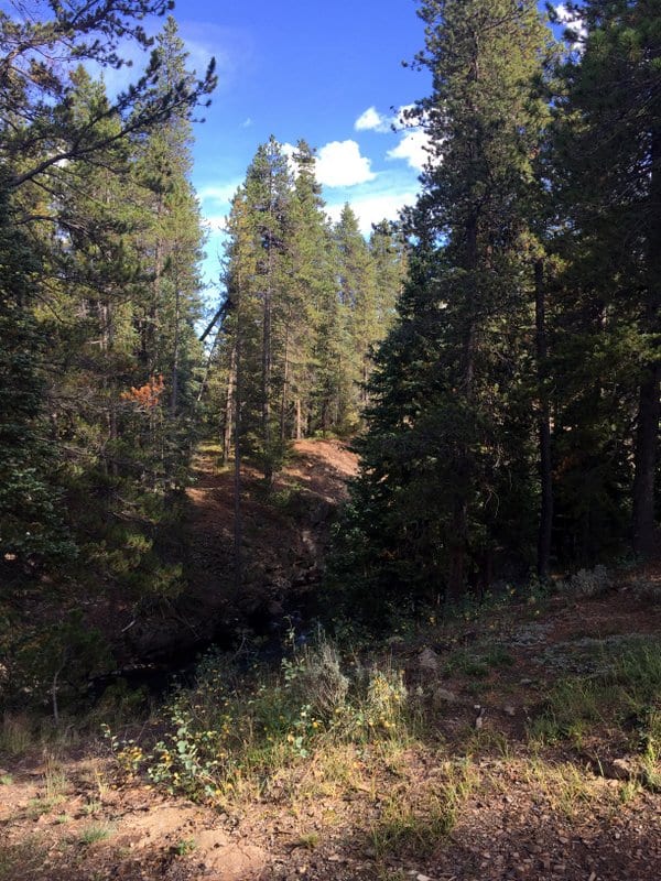 Camping in Crested Butte, CO