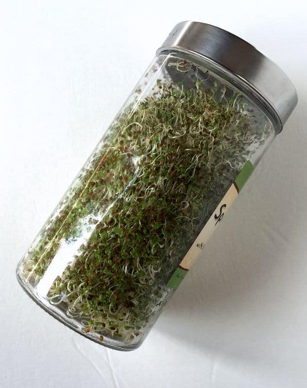 Now Foods Sprouting Jar