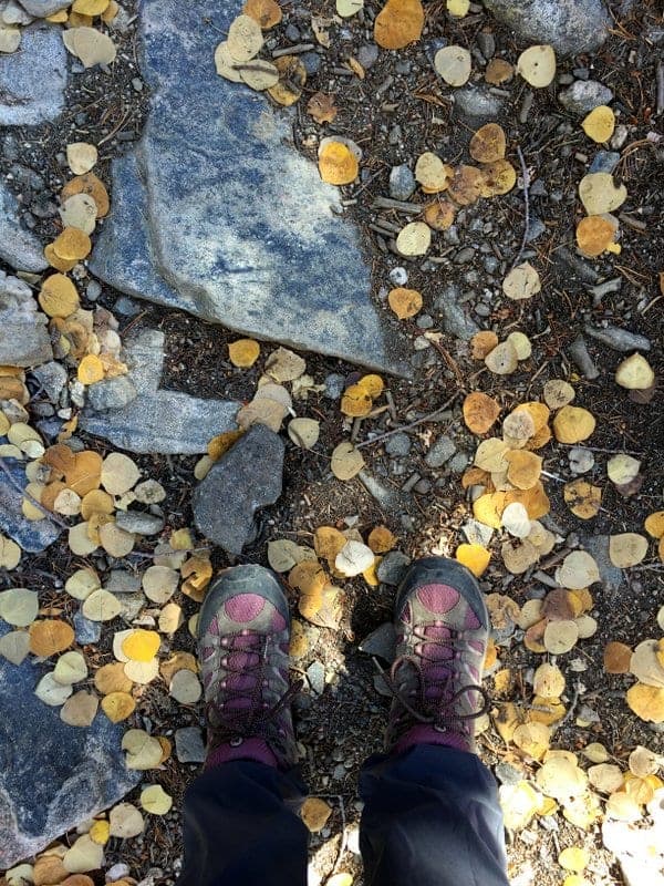 Twin Sisters Hike