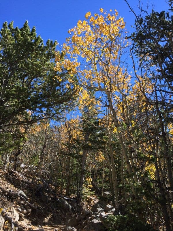 Twin Sisters Hike