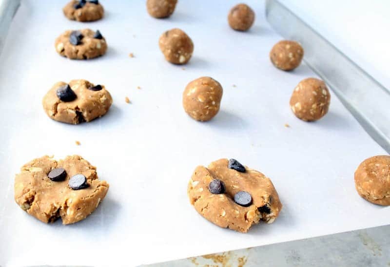 Sweet Potato Oatmeal Snack Cookies low FODMAP, vegan, dairy free, gluten free