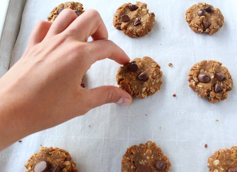 Sweet Potato Oatmeal Snack Cookies low FODMAP, vegan, dairy free, gluten free