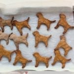 Homemade Dog Treats