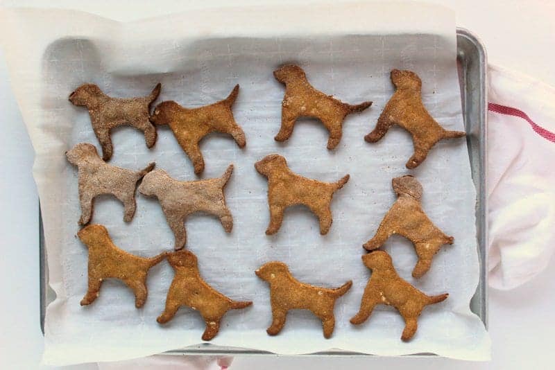 Homemade Dog Treats