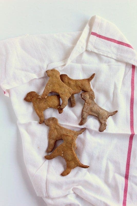 Homemade Dog Treats