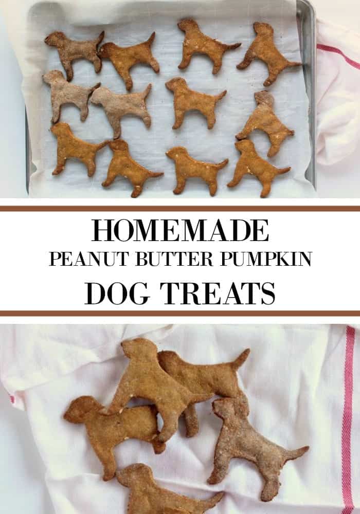 Homemade Dog Treats