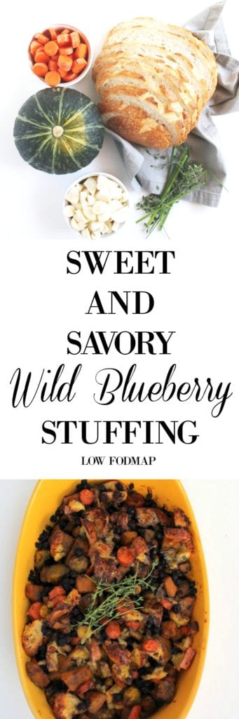 Wild Blueberry Sweet and Savory Stuffing from Treble in the Kitchen low FODMAP