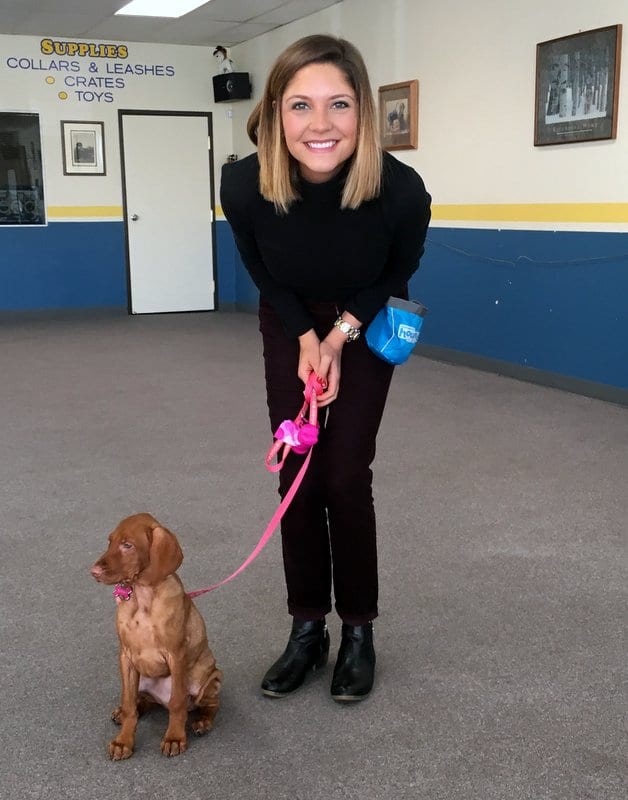 Rooney at puppy school