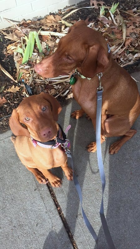 Bernie and Rooney