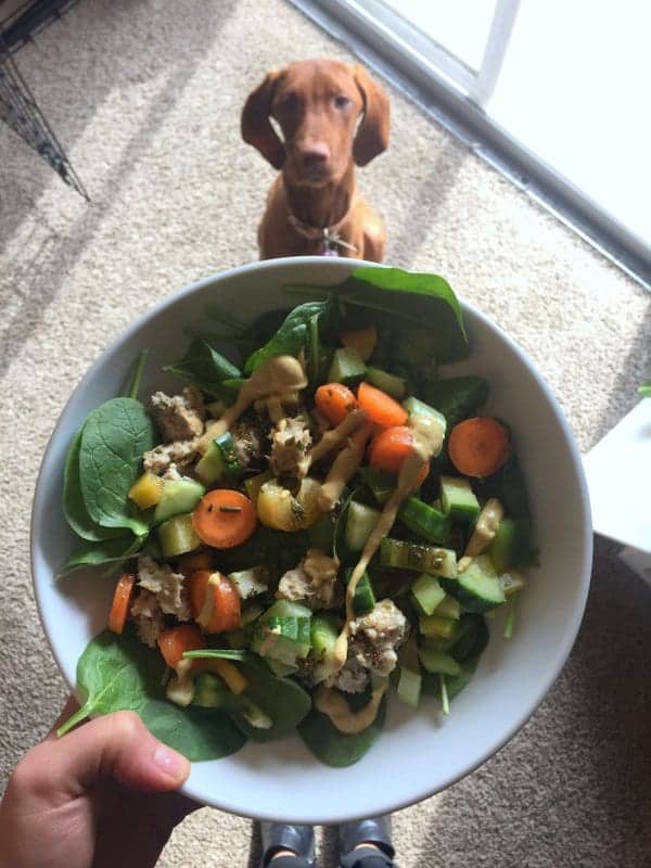 lunch salad