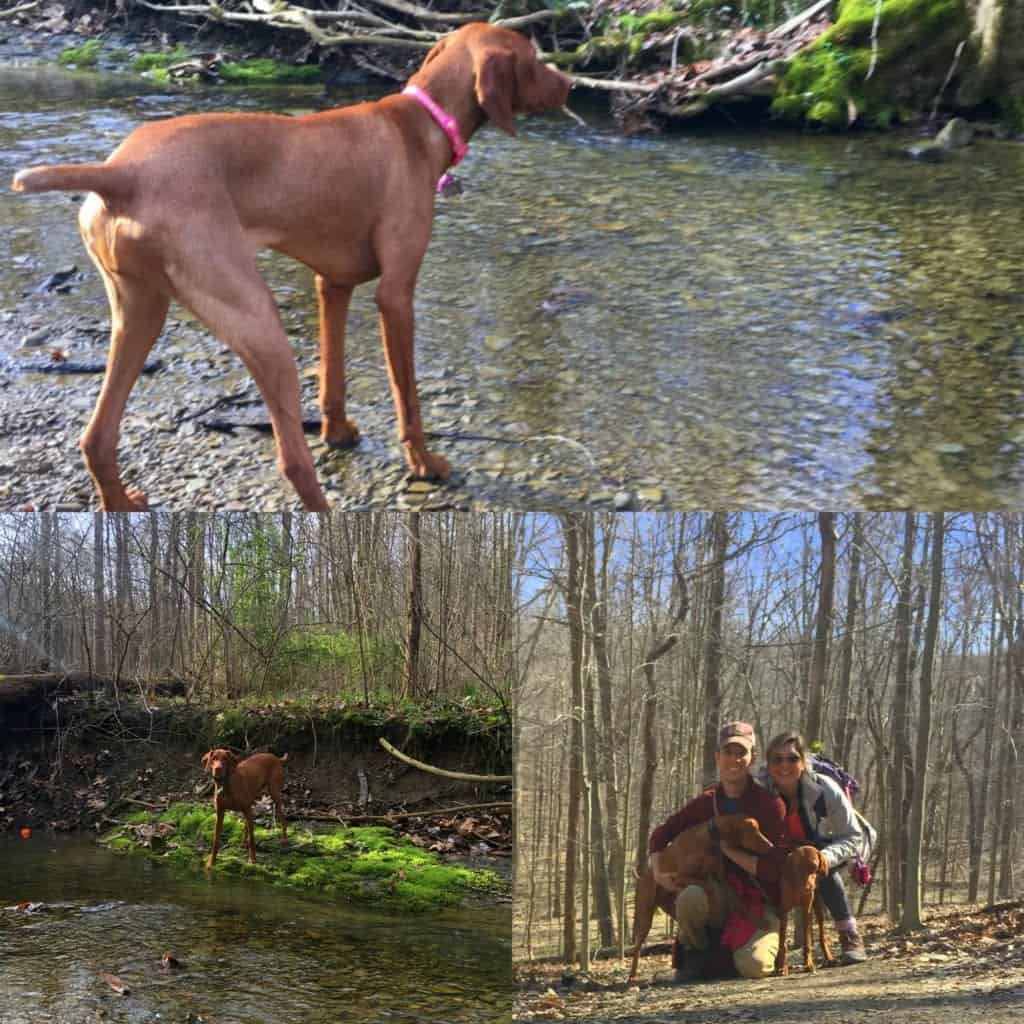 Indiana Hiking