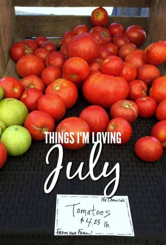 Things I'm Loving July