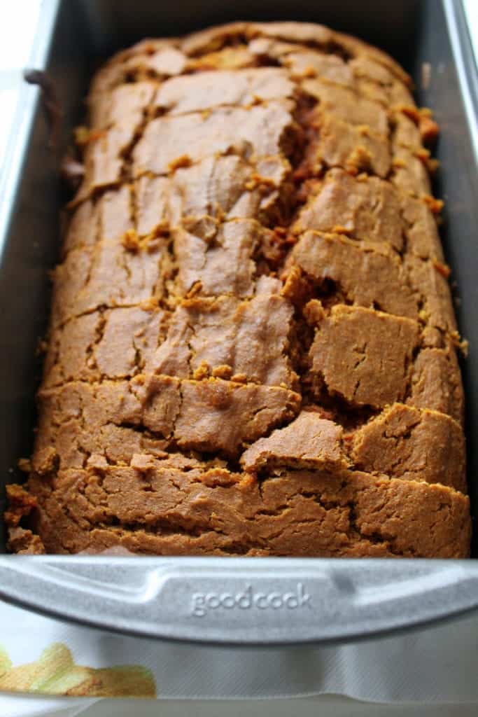 Fall Spice Pumpkin Bread - gluten free, lactose free, low FODMAP