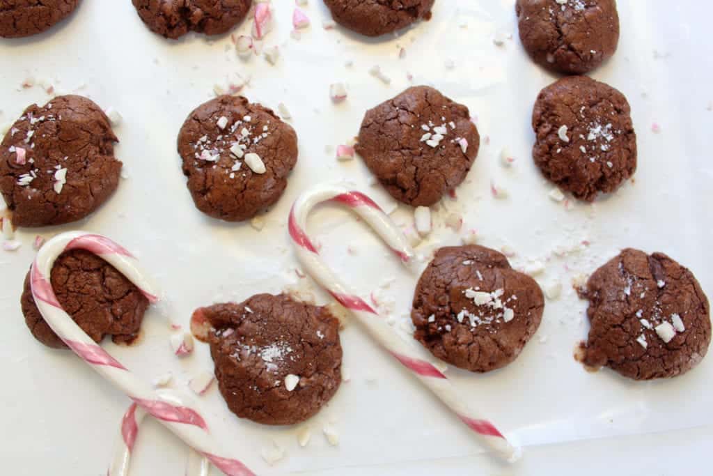 low FODMAP Peppermint Cocoa Cookies - gluten free, lactose free