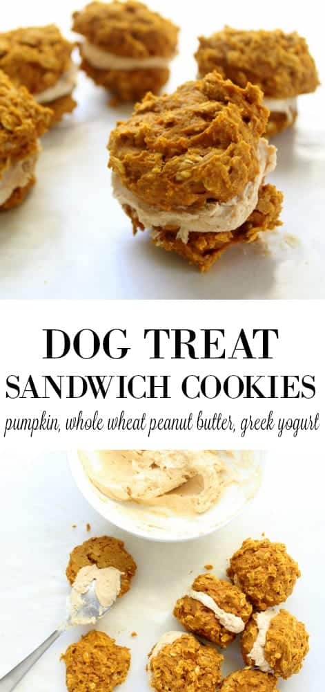 Dog Treat Sandwich Cookies 