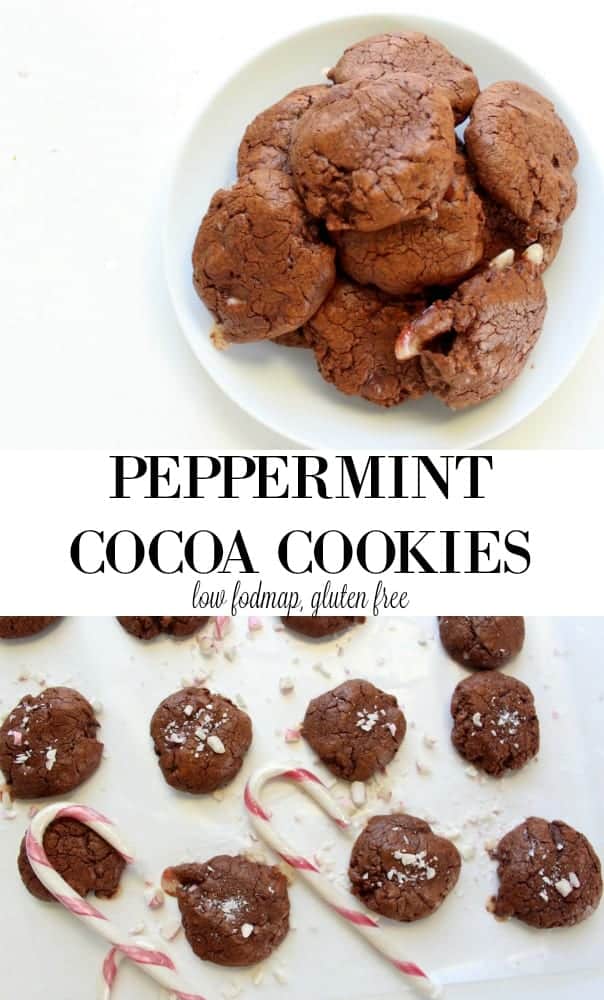 low FODMAP Peppermint Cocoa Cookies - gluten free, lactose free