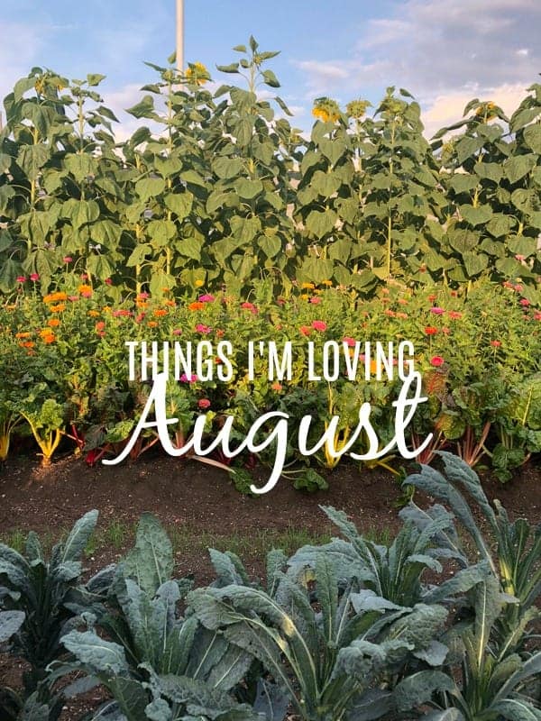 Things I'm Loving August 2018