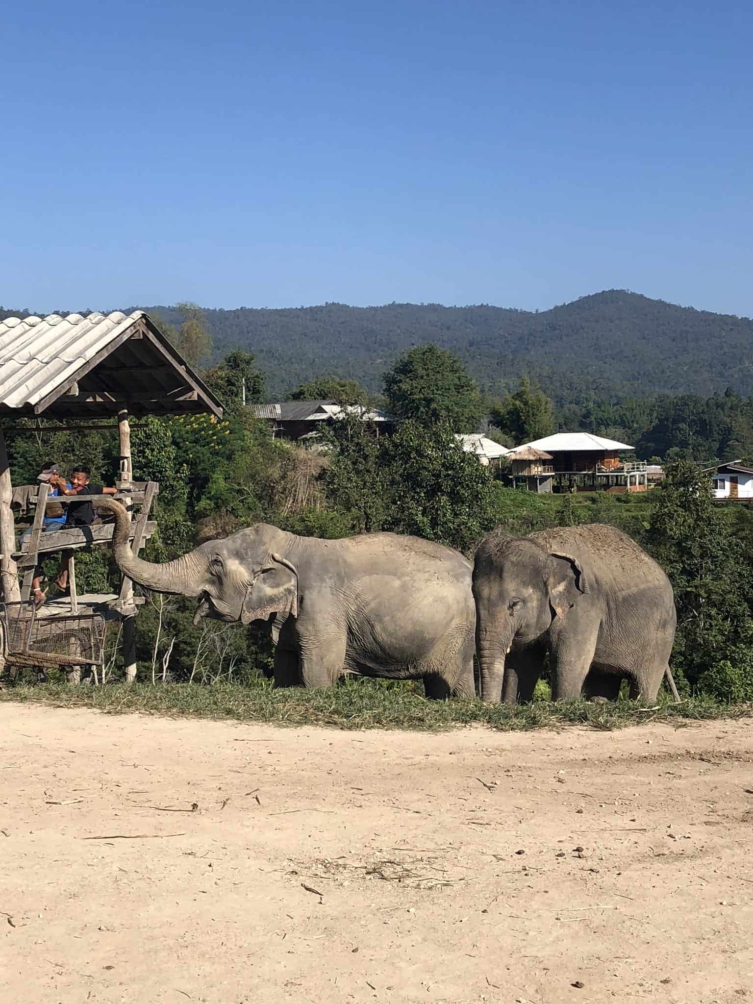 Thailand Travel Guide - Chiang Mai